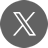 X icon